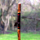 Walking Stick Brazos™ Free Form Wood 55 Inch Height Safari - BeHope