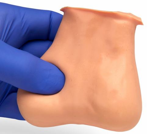 Testicle Exam Model Testicle Model - 2 Lumps in Each Testicle Male 1-1/2 lbs. Biolike 2 Synthetic Tissue - BeHope