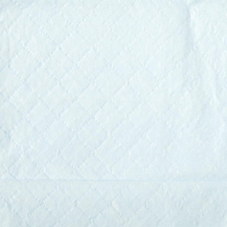 Disposable Underpad Protection Plus® 30 X 30 Inch Fluff Moderate Absorbency - BeHope