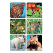 Kids Love Stickers® 90 per Pack Baby Animal Photos , Assorted Sticker 2-1/2 Inch - BeHope