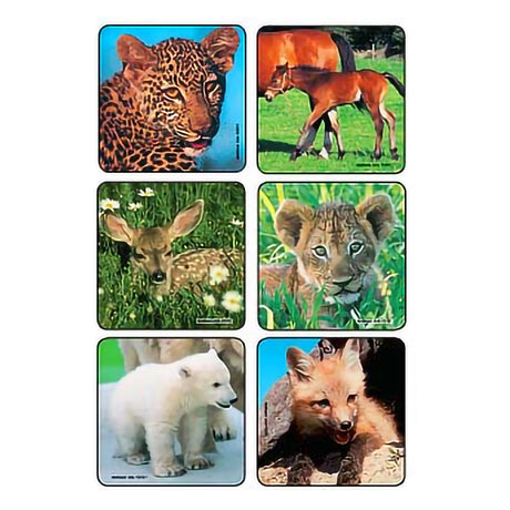 Kids Love Stickers® 90 per Pack Baby Animal Photos , Assorted Sticker 2-1/2 Inch - BeHope