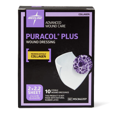 Collagen Dressing Puracol® Plus for Chronic Wound Healing - BeHope