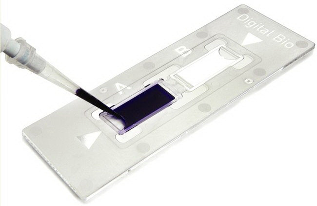 Disposable C-Chip For Hemocytometer - BeHope