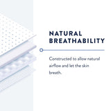 Incontinence Liner Prevail® Daily Pant Liners 12-1/2 Inch Length Moderate Absorbency Polymer Core Small - BeHope