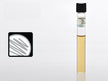 Prepared Media Thioglycollate Medium for Anaerobic Bacteria Growth - BeHope