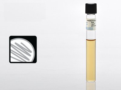 Prepared Media Thioglycollate Medium for Anaerobic Bacteria Growth - BeHope