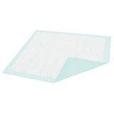 Disposable Underpad Dignity® Extra 23 X 36 Inch Fluff Light Absorbency - BeHope