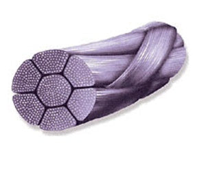 Absorbable Suture With Needle Coated Vicryl™ Polyglactin 910 Braided Reverse Cutting - BeHope