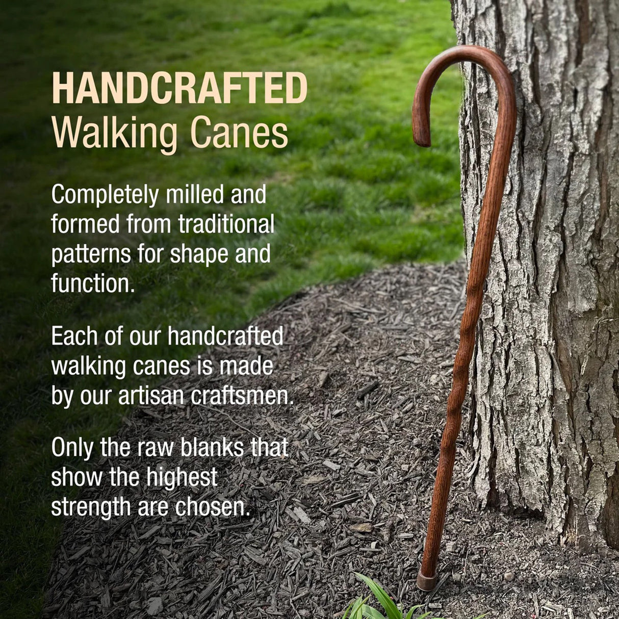 Round Handle Cane Brazos™ Twisted Wood 37 Inch Height Red Oak - BeHope