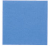 Filter 9 X 9 Inch, With Indicator Dot - BeHope