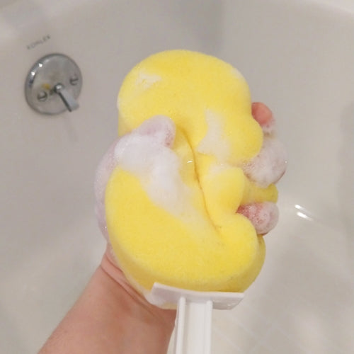 I Got Your Back Long Handle Round Sponge