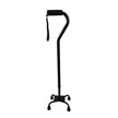 Quad Cane Small Base Black By Blue Jay Brand - BeHope