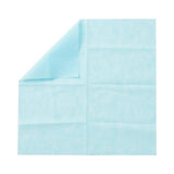 Single-Ply Gemini Sterilization Wraps