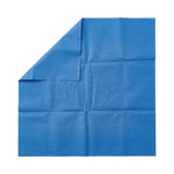 Single-Tone Bonded Gemini Sterilization Wraps