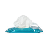 Readyflush Biodegradable Flushable Wipes, close-up of product features.
