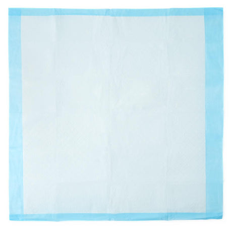 Protection Plus Disposable Underpads - BeHope