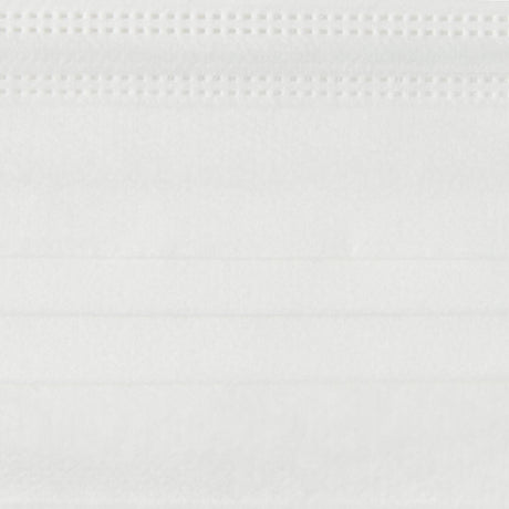 Medline ASTM Level 1 White Procedure Face Mask with Ear Loops
