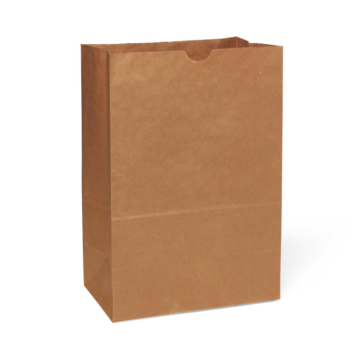 Medline Brown Paper Bags