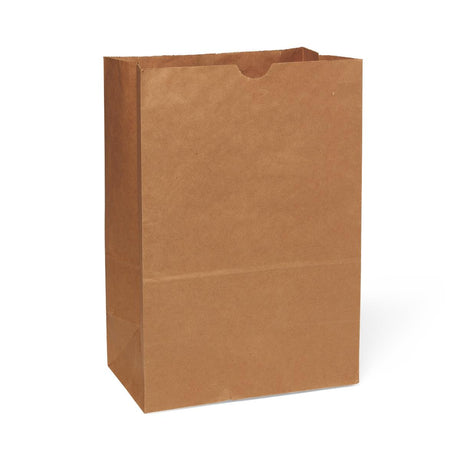 Medline Brown Paper Bags