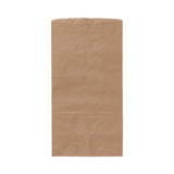Medline Brown Paper Bags