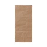 Medline Brown Paper Bags