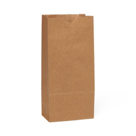 Medline Brown Paper Bags