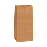Medline Brown Paper Bags