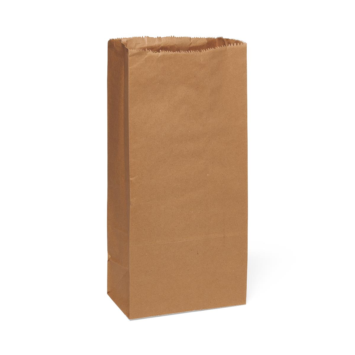 Medline Brown Paper Bags