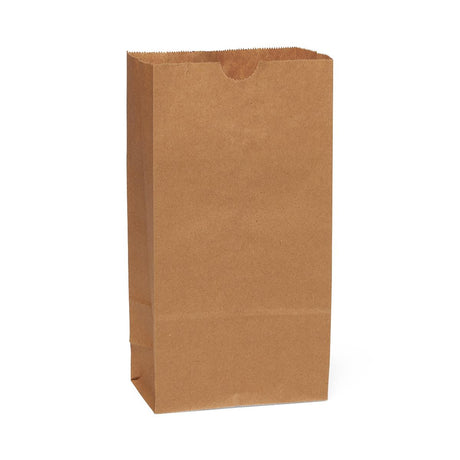 Medline Brown Paper Bags