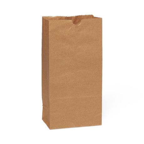 Medline Brown Paper Bags