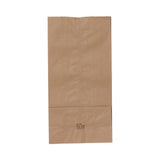 Medline Brown Paper Bags