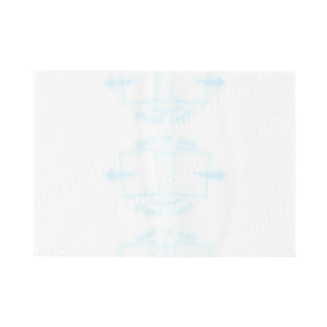 Aspercreme Lidocaine Pain Relieving Patches - BeHope