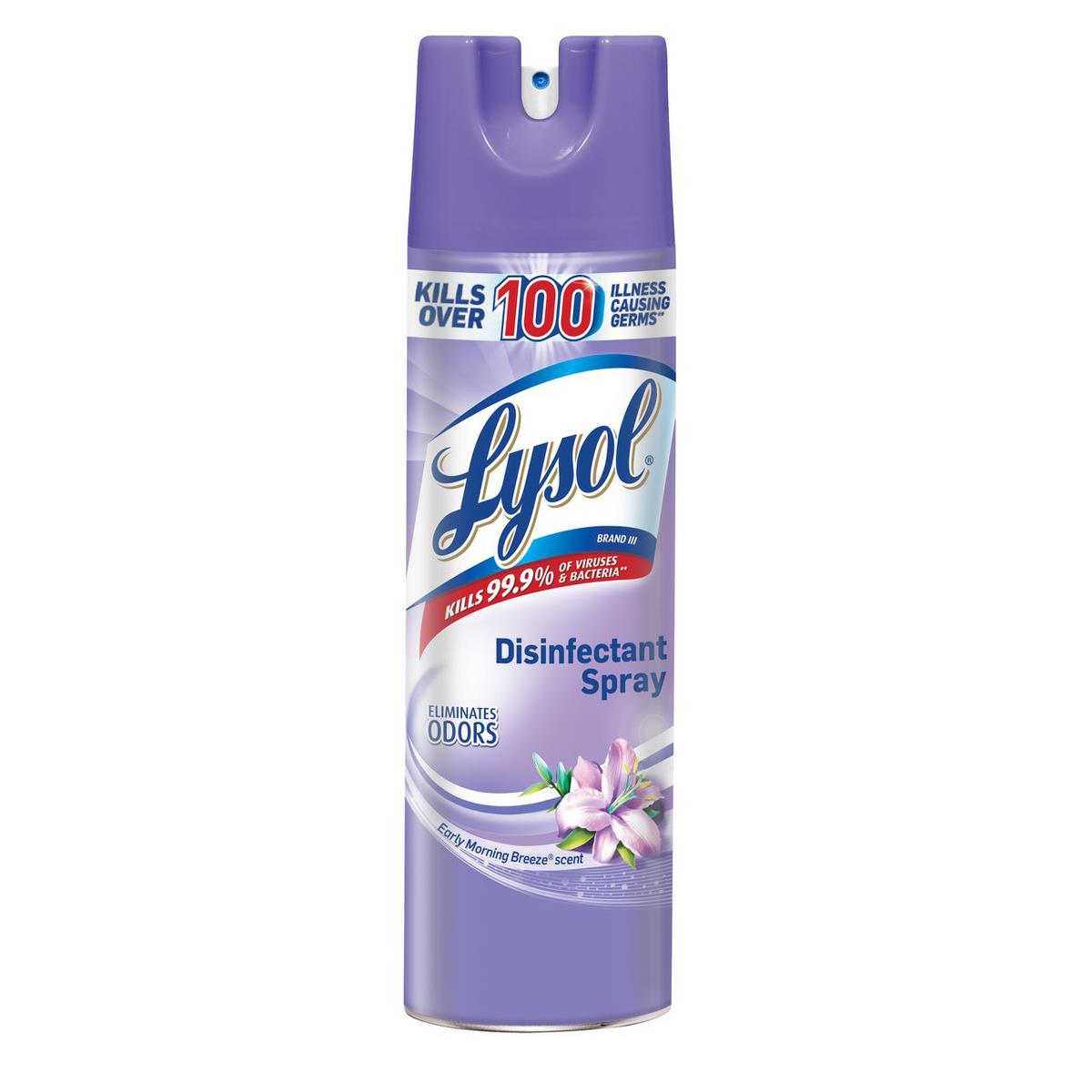 Lysol Professional Disinfectant Spray - Original Scent
