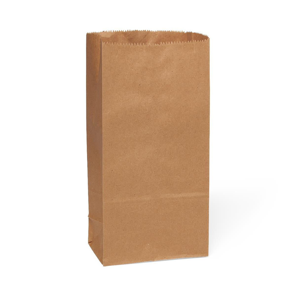 Medline Brown Paper Bags