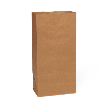 Medline Brown Paper Bags