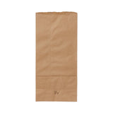 Medline Brown Paper Bags