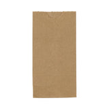 Medline Brown Paper Bags