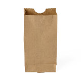 Medline Brown Paper Bags