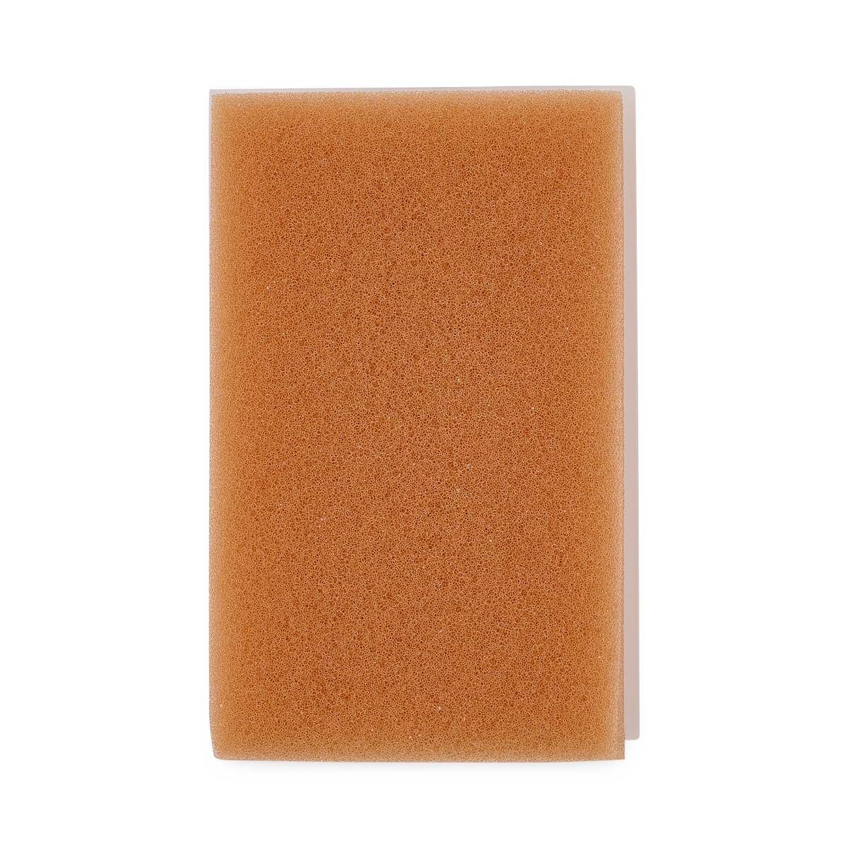Surgical Scrub Dry Brushes - BeHope