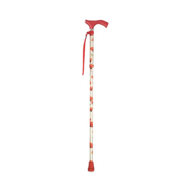 Switch Sticks Walking Canes
