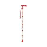 Switch Sticks Walking Canes