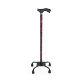Switch Sticks Walking Canes