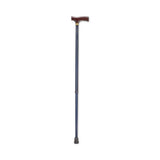 Switch Sticks Walking Canes