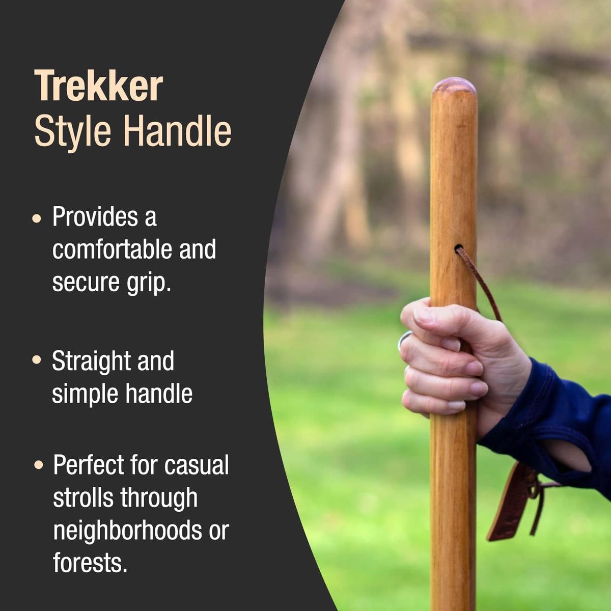 Brazos Twisted Trail Blazer Walking Stick
