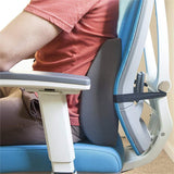 Dmi Lumbar Back Cushion With Strap - BeHope
