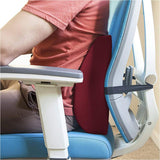 Dmi Lumbar Back Cushion With Strap - BeHope