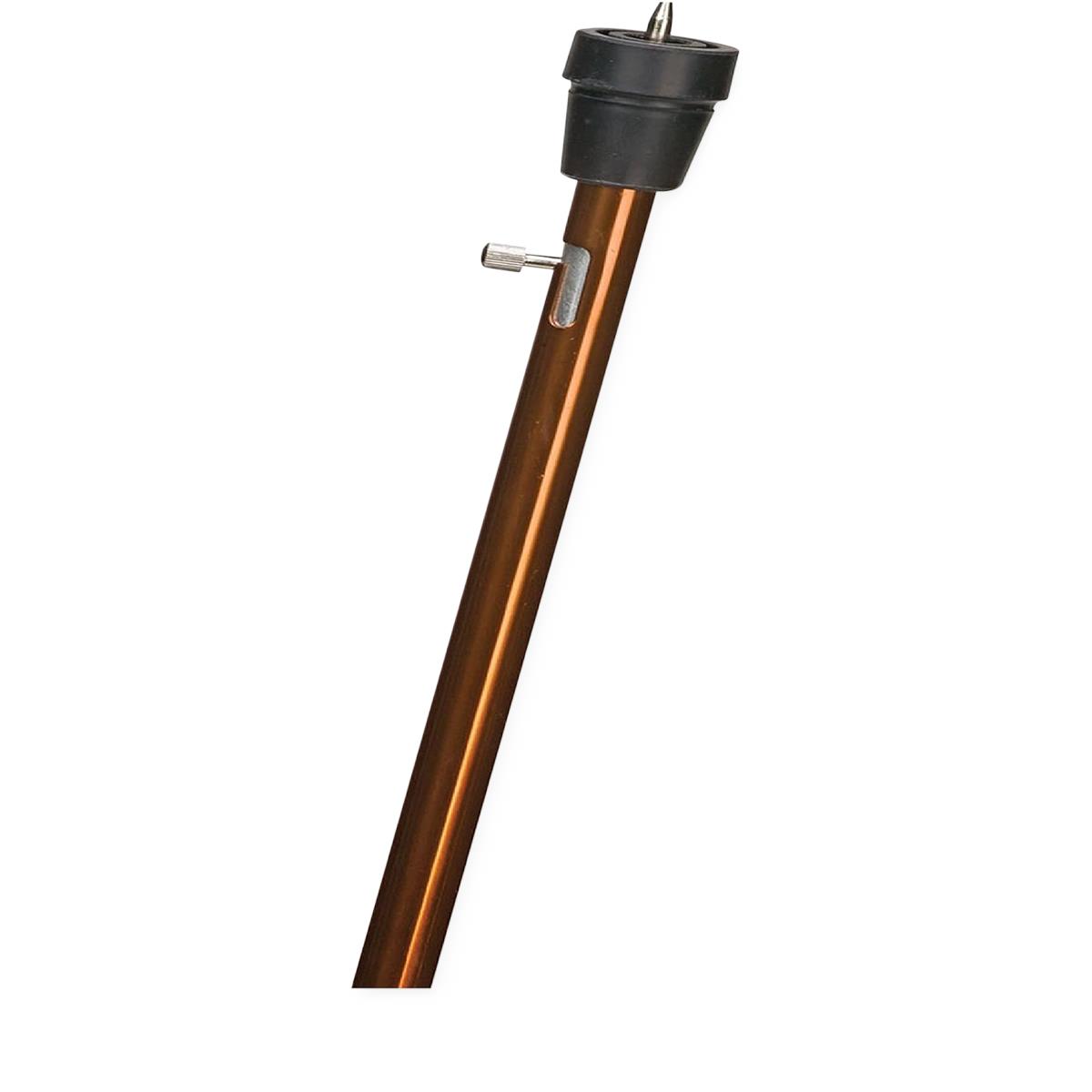 Dmi Retractable Ice Tip Canes - BeHope