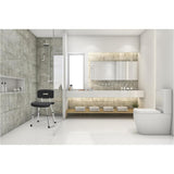 Healthsmart Euro-style Bath / Shower Seat - BeHope