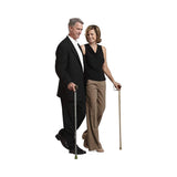 Switch Sticks Walking Canes