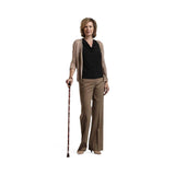 Switch Sticks Walking Canes